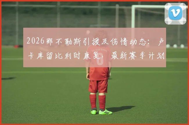 2026那不勒斯引援及伤情动态:卢卡库留比利时康复,最新赛季计划解读
